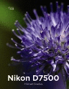 NIKON D7500